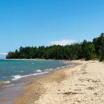 maple bay